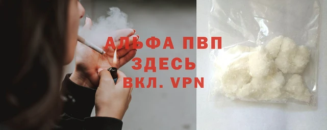 эйфоретик Аркадак