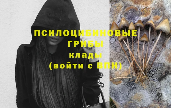 шишки Нея
